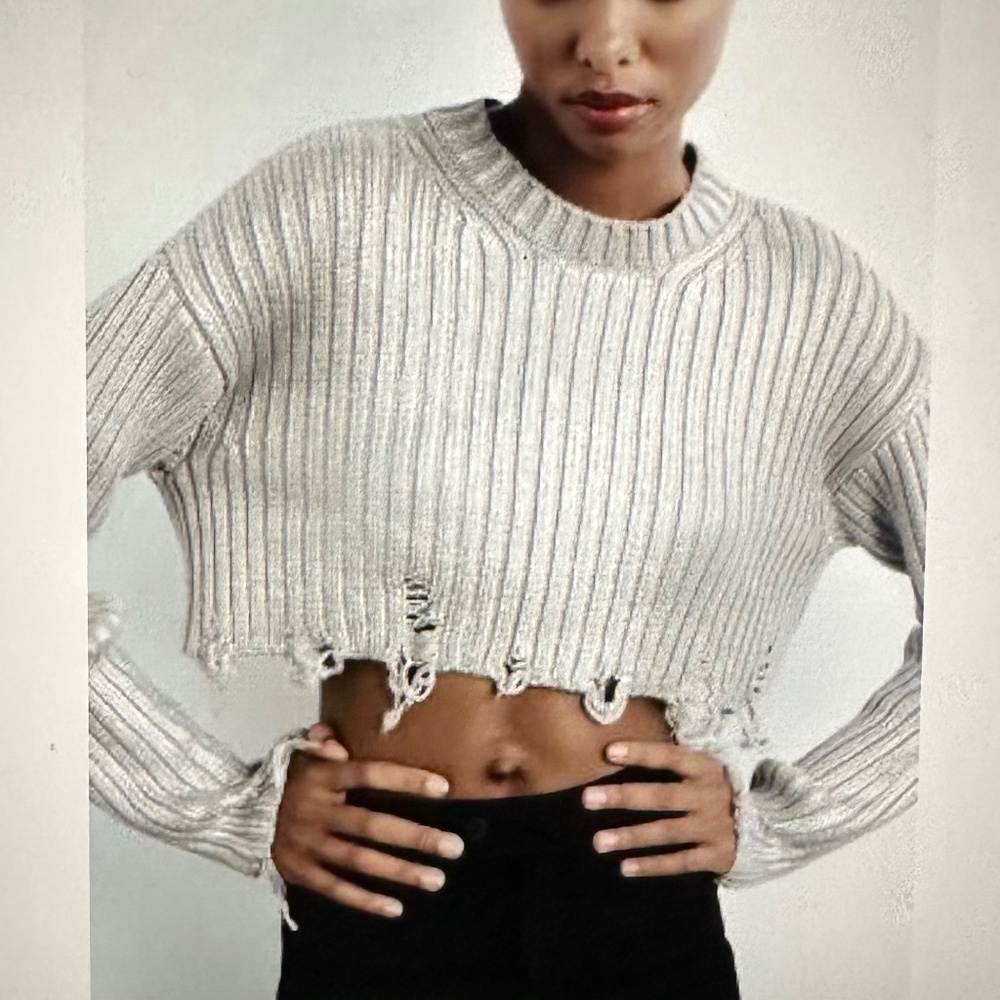 Zara Metallic distressed crop sweater. NWT. S